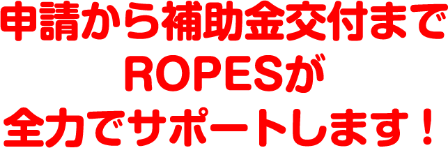 申請から補助金交付までROPESが全力でサポートします！