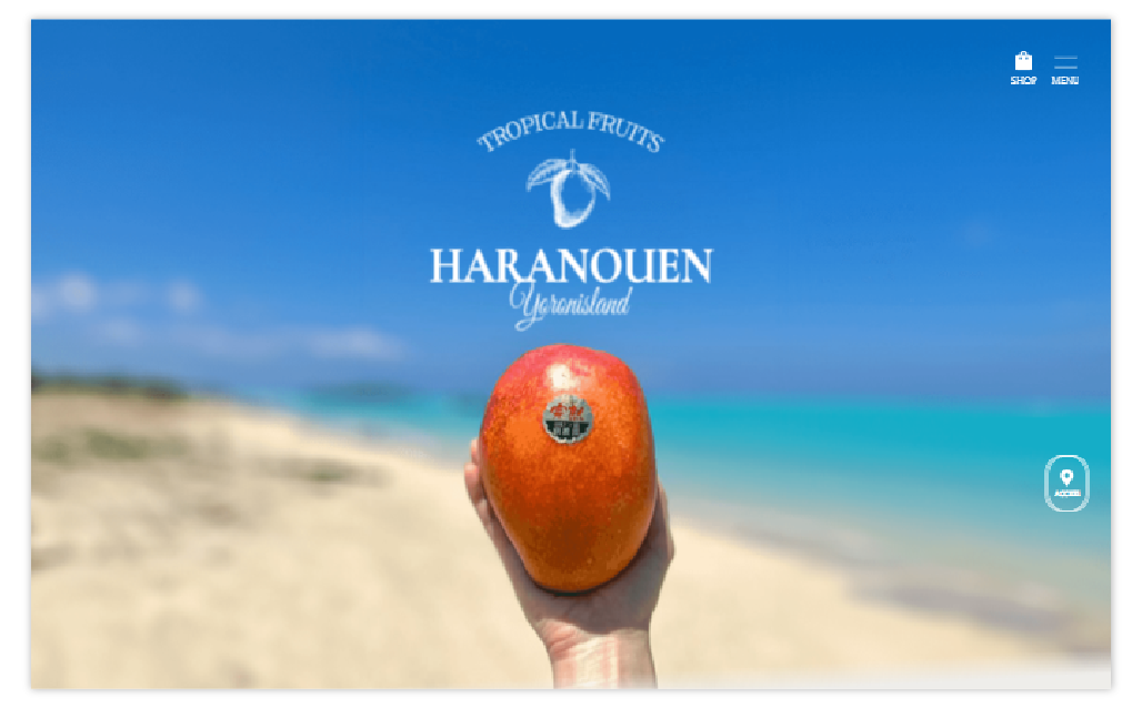 ロープス株式会社のウェブ制作事例